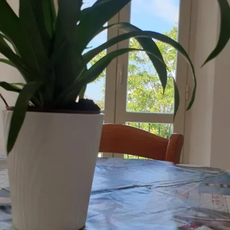 Casa Maddi Con Vista Mare Vicinissima Al Centro Isola D'elba Apartment *